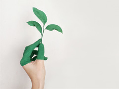 ECOGE