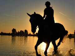 EQUIT