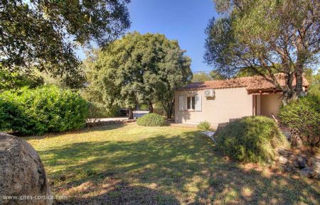Gite n °56441 Ventiseri - Corse - photo