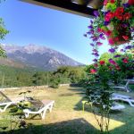G&icirc;te &agrave; Muracciole, centre Corse, Haute-Corse, labellis&eacute; G&icirc;tes de France : la vue de la terrasse couverte 