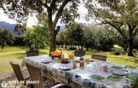Gîte à Lumio, Balagne, Haute-Corse, labellisé Gîtes de France : la terrasse Gite n °57083 Lumio - Corse - Gîte à Lumio, Balagne, Haute-Corse, labellisé Gîtes de France : la terrasse