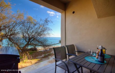 Gite n &deg;63141 Meria - Corse - photo
