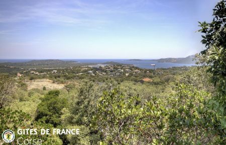 Gite n &deg;28903 Porto-Vecchio - Corse - Gite &agrave; Porto-Vecchio, le Sud Corse, labellis&eacute; G&icirc;tes de France : la vue depuis le gite et la terrasse