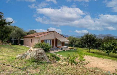 Gite n °57181 Lumio - Corse - photo