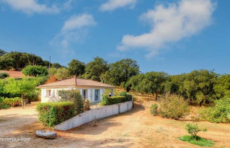 Gîte à Sollacaro en Corse du Sud : le gîte Gite n °19442 Sollacaro - Corse - Gîte à Sollacaro en Corse du Sud : le gîte