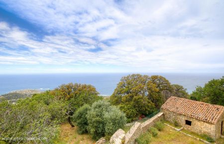 Gîte à Corbara, Balagne, Haute-Corse, labellisé Gîtes de France : la vue de la terrasse Gite n °50132 Corbara - Corse - Gîte à Corbara, Balagne, Haute-Corse, labellisé Gîtes de France : la vue de la terrasse