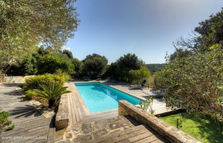 Kamer bij particulieren nr.17334 Bonifacio - Corse - Chambres d'h&ocirc;tes &agrave; Bonifacio, le sud Corse, labellis&eacute; G&icirc;tes de France :  la piscine