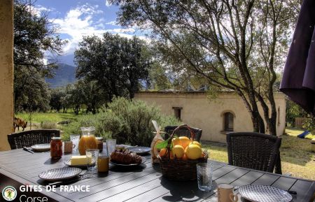Gîte à Lumio, Balagne, Haute-Corse, labellisé Gîtes de France : la terrasse Gite n °57082 Lumio - Corse - Gîte à Lumio, Balagne, Haute-Corse, labellisé Gîtes de France : la terrasse