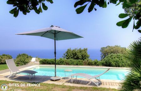 Maison d'hôtes à Brando, Grand Bastia, Haute-Corse, labellisée Gîtes de France Corse : la piscine Kamer bij particulieren nr.57251 Brando - Corse - Maison d'hôtes à Brando, Grand Bastia, Haute-Corse, labellisée Gîtes de France Corse : la piscine