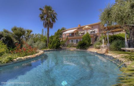 Chambres d'hôtes à Favone, Corse-du-Sud, labellisées Gîtes de France : la maison avec la piscine Kamer bij particulieren nr.21991 Sari-Solenzara - Corse - Chambres d'hôtes à Favone, Corse-du-Sud, labellisées Gîtes de France : la maison avec la piscine