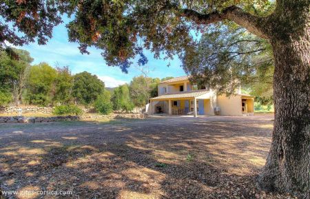 Gite n &deg;22463 Sart&egrave;ne - Corse - photo